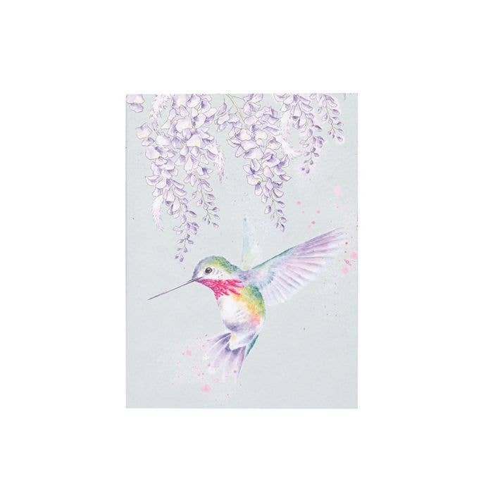 A6 Jegyzetfüzet - Kolibris