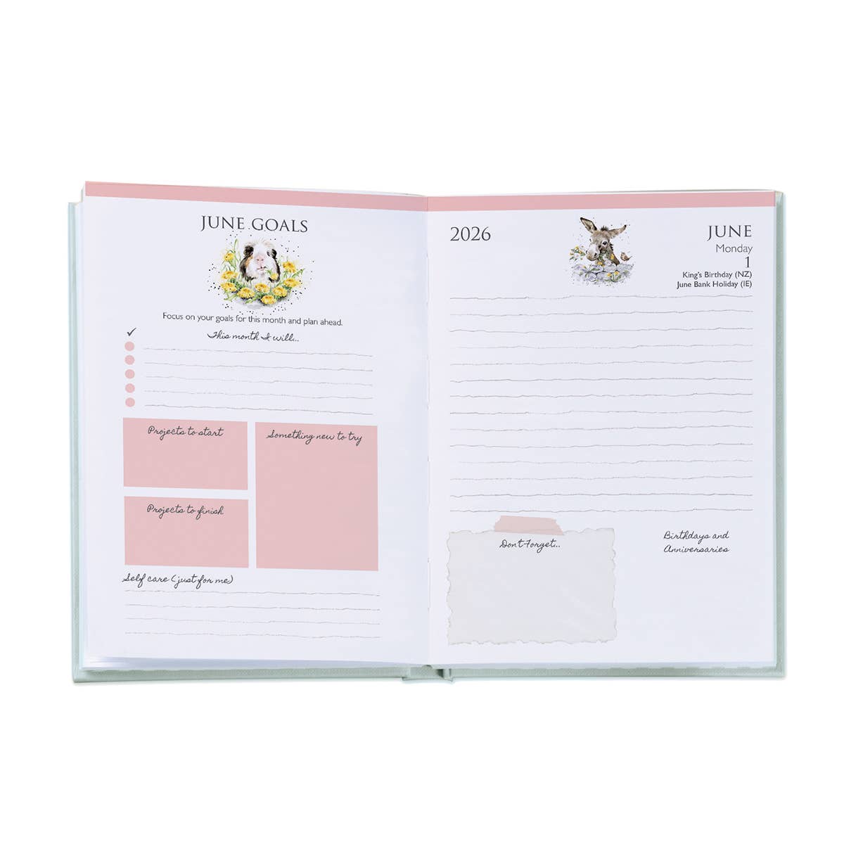 Wrendale Designs - Határidőnapló 2026 (rókás) - napi bontású