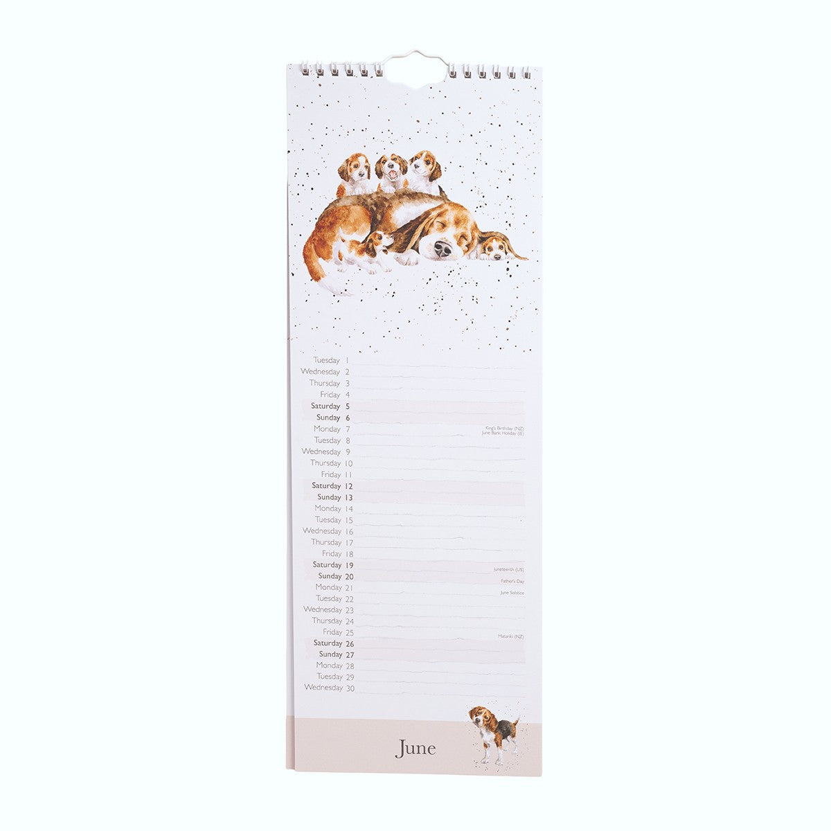 Wrendale Designs - A Dog’s Life 2027 falinaptár - havi beosztású (angol)